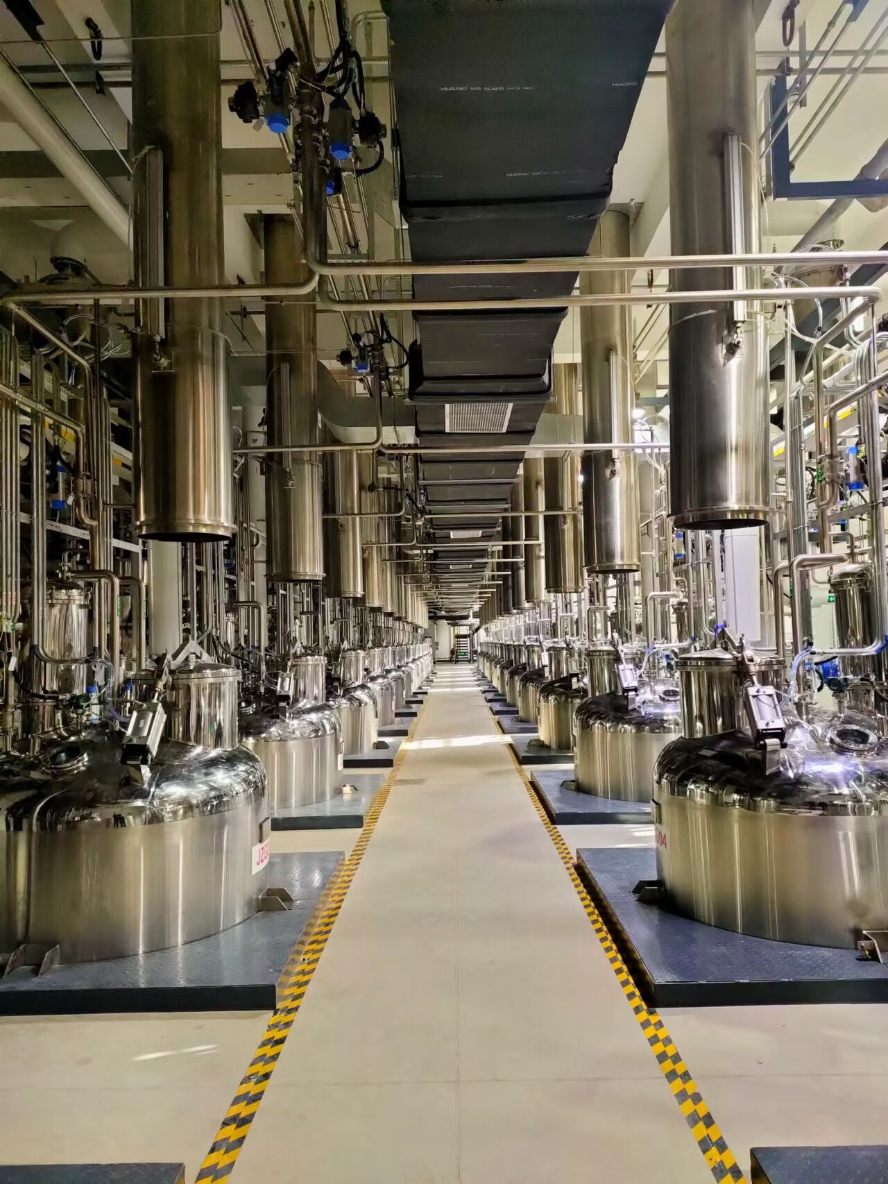 monk fruit extraction equipment processing line