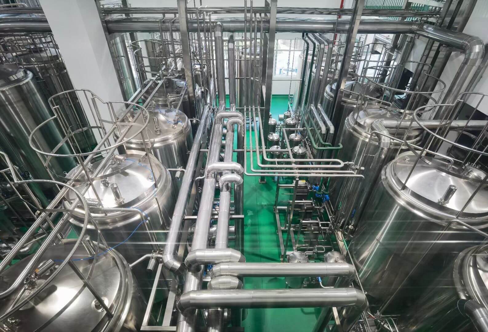 Stevia rebaudiana Extraction And Processing Production Line